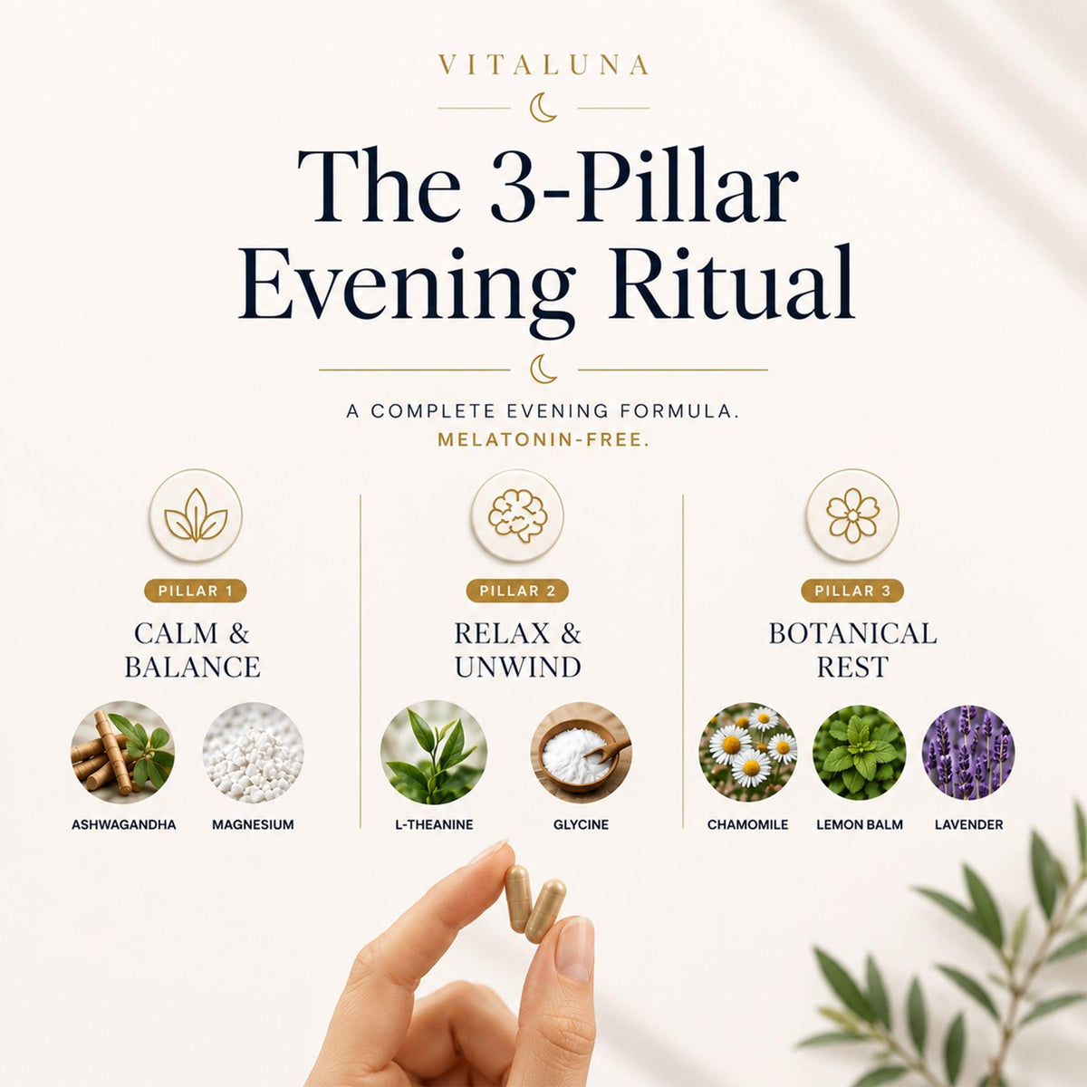 The Evening Ritual