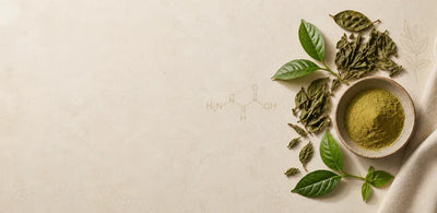 L-Theanine (From Green Tea Extract)
