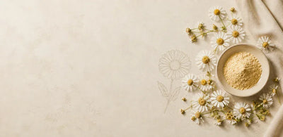 Chamomile Extract: 1200mg
